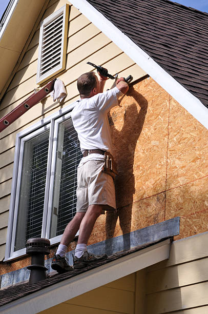 Best Vinyl Siding Installation  in Manteno, IL